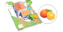 Orange Plantation